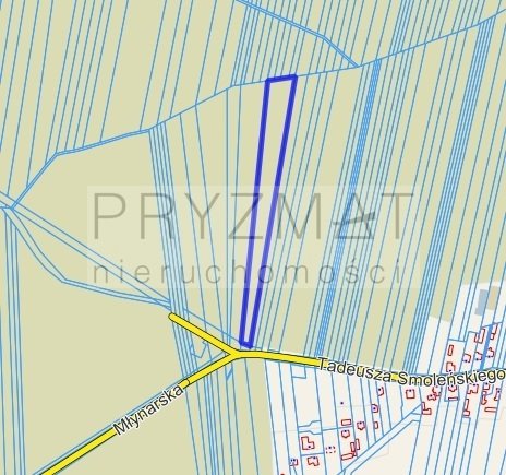 Działka inwestycyjna 1 ha przy DK50, media, asfalt Mińsk Mazowiecki, Tadeusza Smoleńskiego  9 961m2 Foto 1