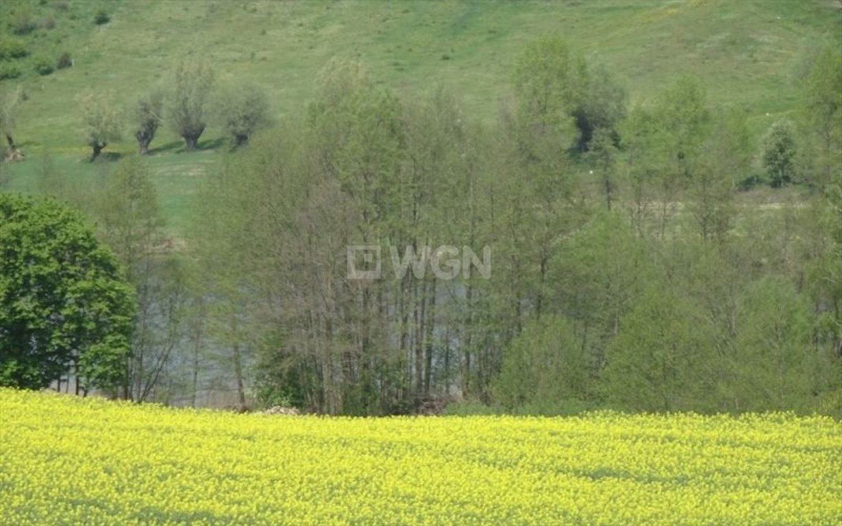 Kawalerka na sprzedaż Trepki, Trepki  64m2 Foto 8