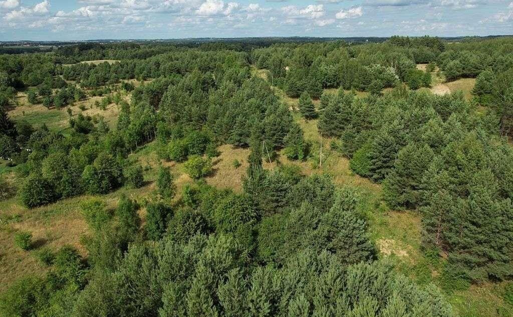 Działka budowlana na sprzedaż Cierzpięty  1 002m2 Foto 12