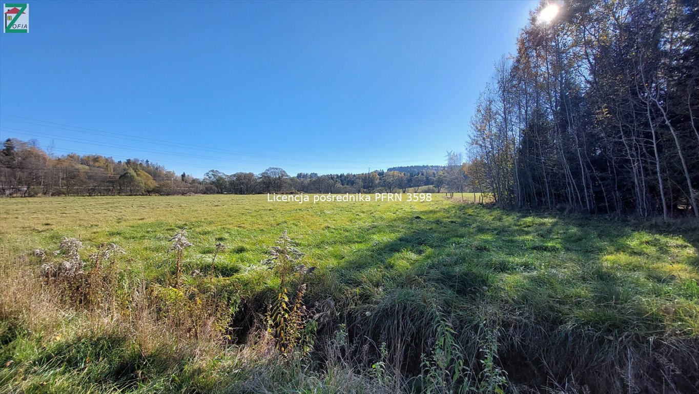 Dom na sprzedaż JORDANÓW  100m2 Foto 4