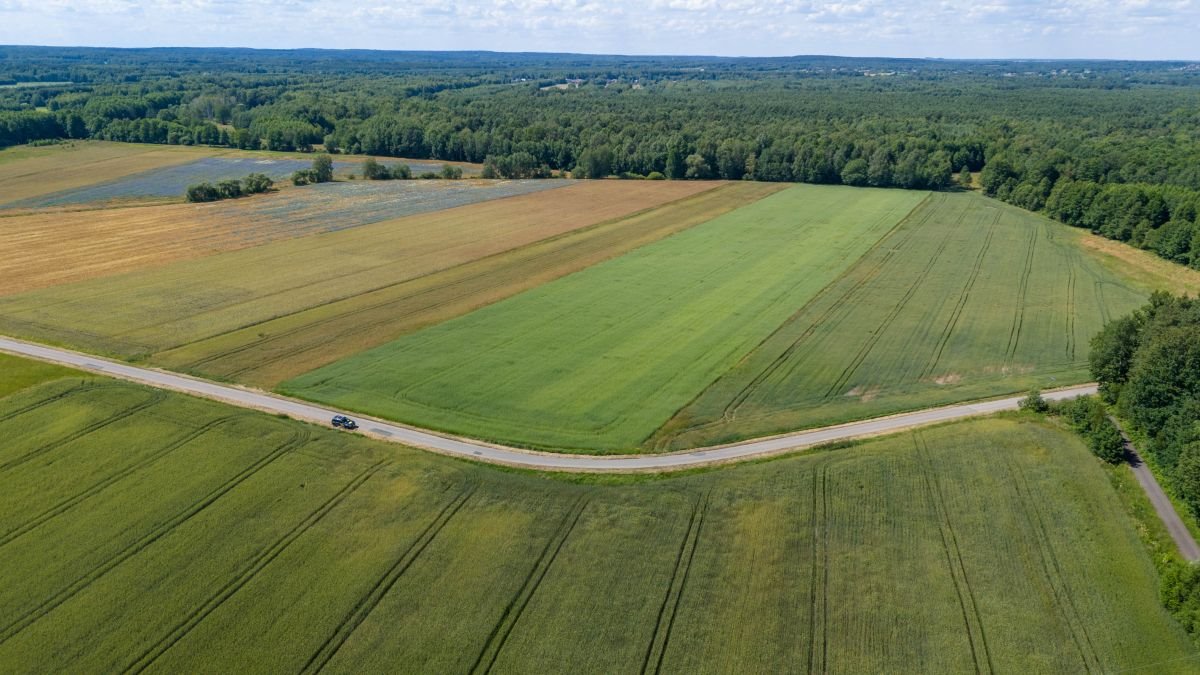 Działka budowlana na sprzedaż Woźniki, Czarny Las, Czarny Las  29 522m2 Foto 5