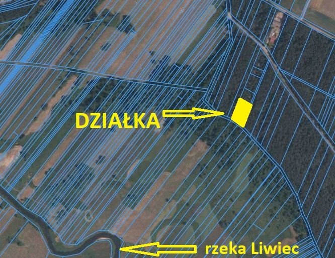 Działka leśna na sprzedaż Ossolin  2 000m2 Foto 6