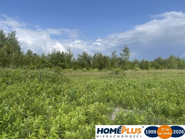 Na sprzedaż działka inwestycyjna 999 m² z możliwością rozbudowy Ciemne  999m2 Foto 1