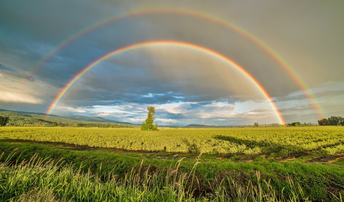 Działka siedliskowa na sprzedaż Dworzysk  9 600m2 Foto 3