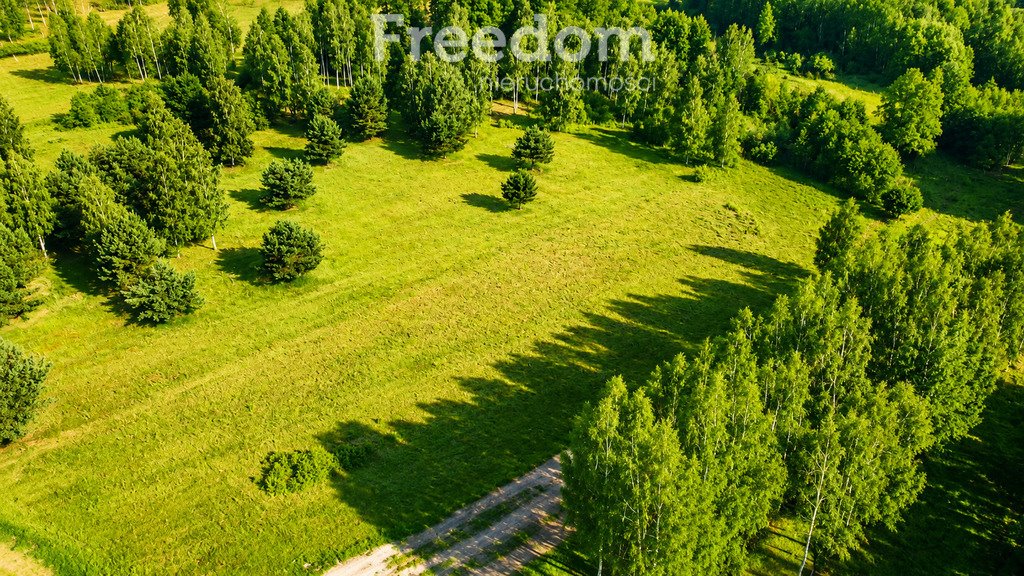 Polecam działkę 1331 m² z MPZP, prąd i wodociąg Stare Budy Radziejowskie, Wierzby  1 331m2 Foto 1