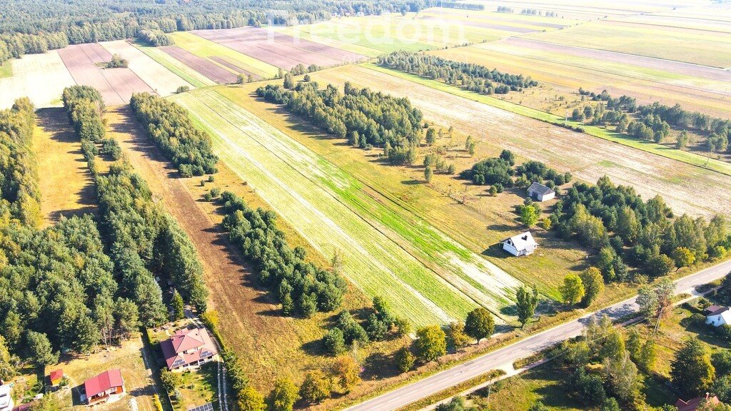 Działka rolna na sprzedaż Kolonia Paplin  13 300m2 Foto 4