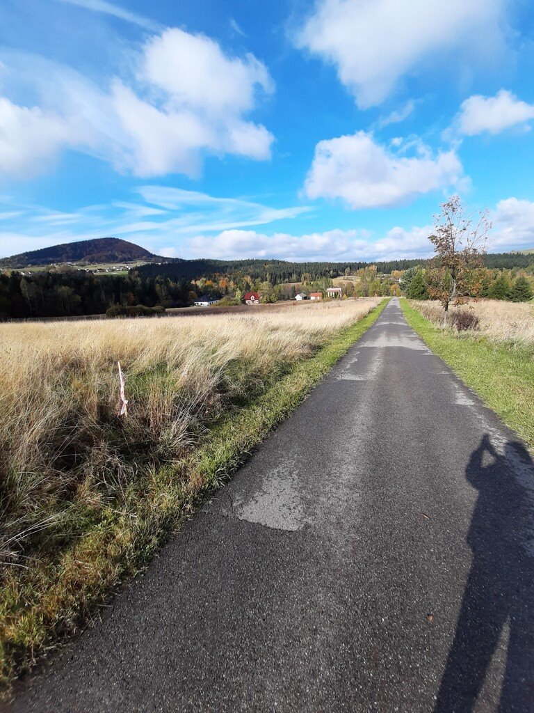 Działka budowlana na sprzedaż Ptaszkowa  1 100m2 Foto 11