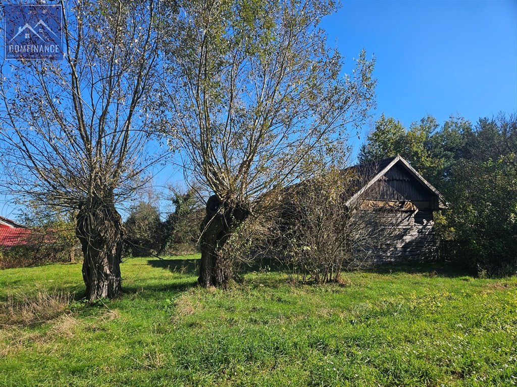 Działka inna na sprzedaż Dąbrowa Tarnowska  29 500m2 Foto 9