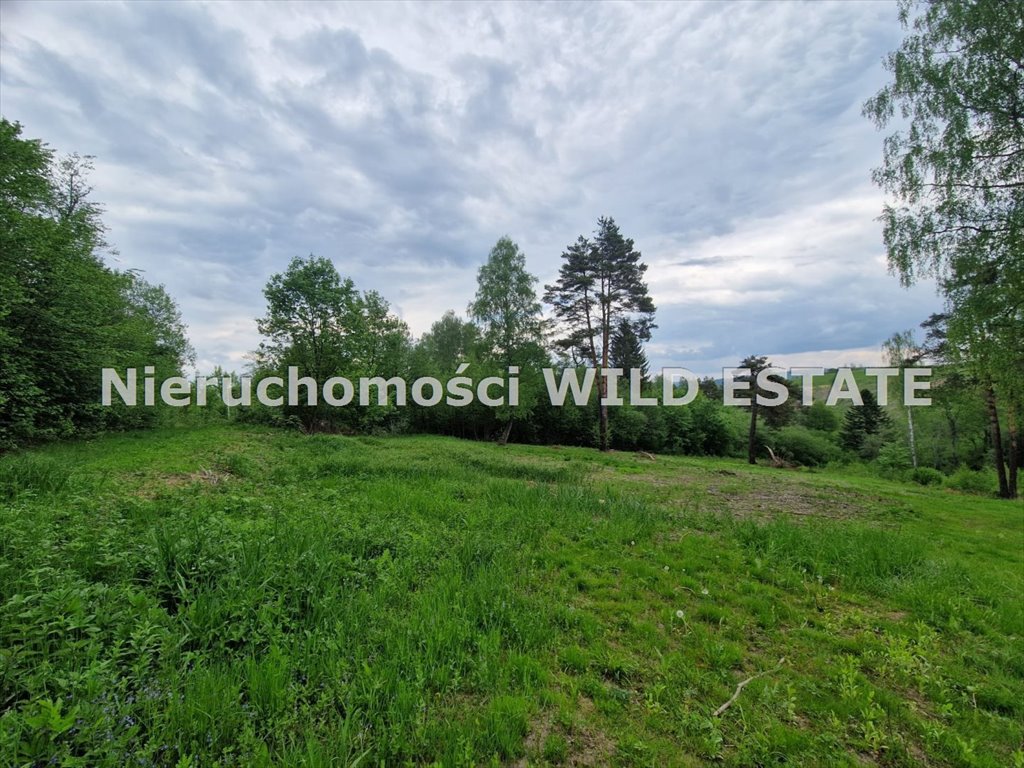 Działka w Bieszczadach z dostępem do mediów i potencjałem turystycznym Czarna, Olchowiec, Olchowiec  1 026m2 Foto 1