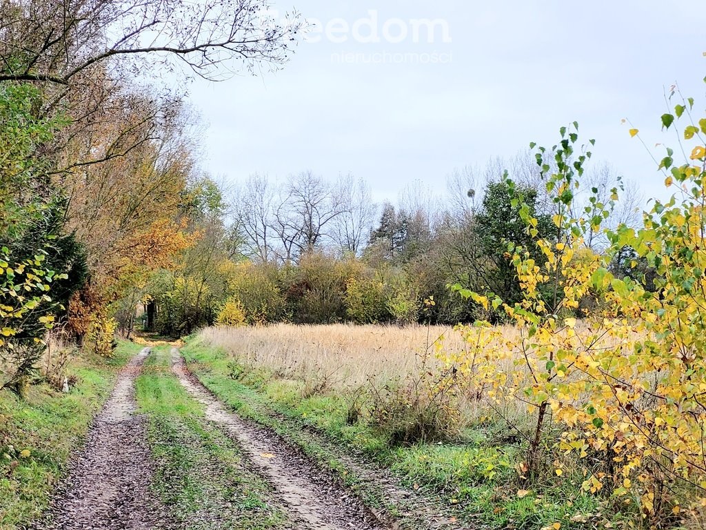 Działka budowlana na sprzedaż Zagórze  1 500m2 Foto 16