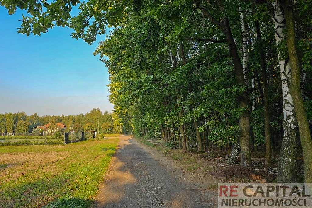 Działka budowlana na sprzedaż Borzęcin Duży  1 500m2 Foto 6