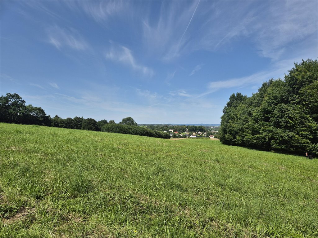 Widokowa działka rolna 60 ar z lasem i ciszą Długie  5 944m2 Foto 1