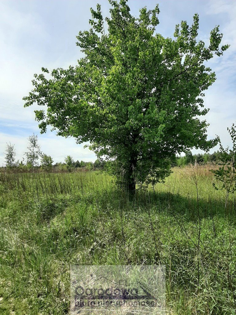 Działka rolna na sprzedaż Cząstków Polski  17 000m2 Foto 2