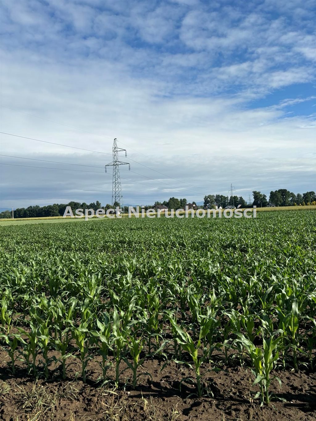 Działka inna na sprzedaż Drogomyśl  5 852m2 Foto 2