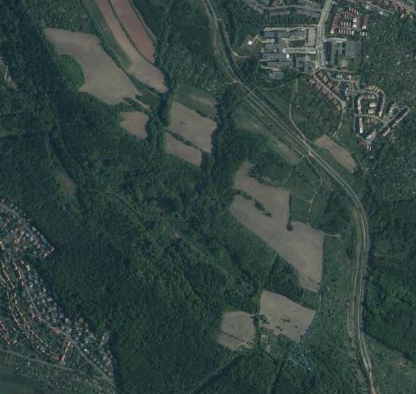 Działka rolna pod dzierżawę Szczawno-Zdrój 299 562m2 Foto 1 Działka rolna pod dzierżawę Szczawno-Zdrój 299 562m2 Foto 1