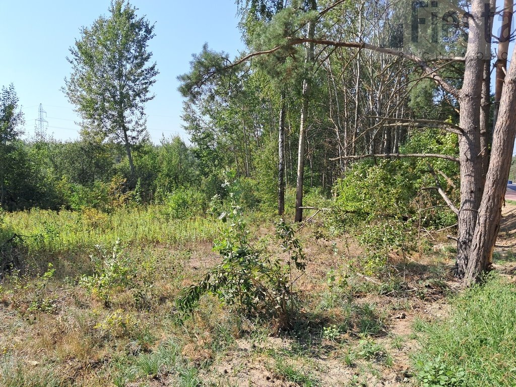 Działka budowlana na sprzedaż Serock  3 000m2 Foto 4