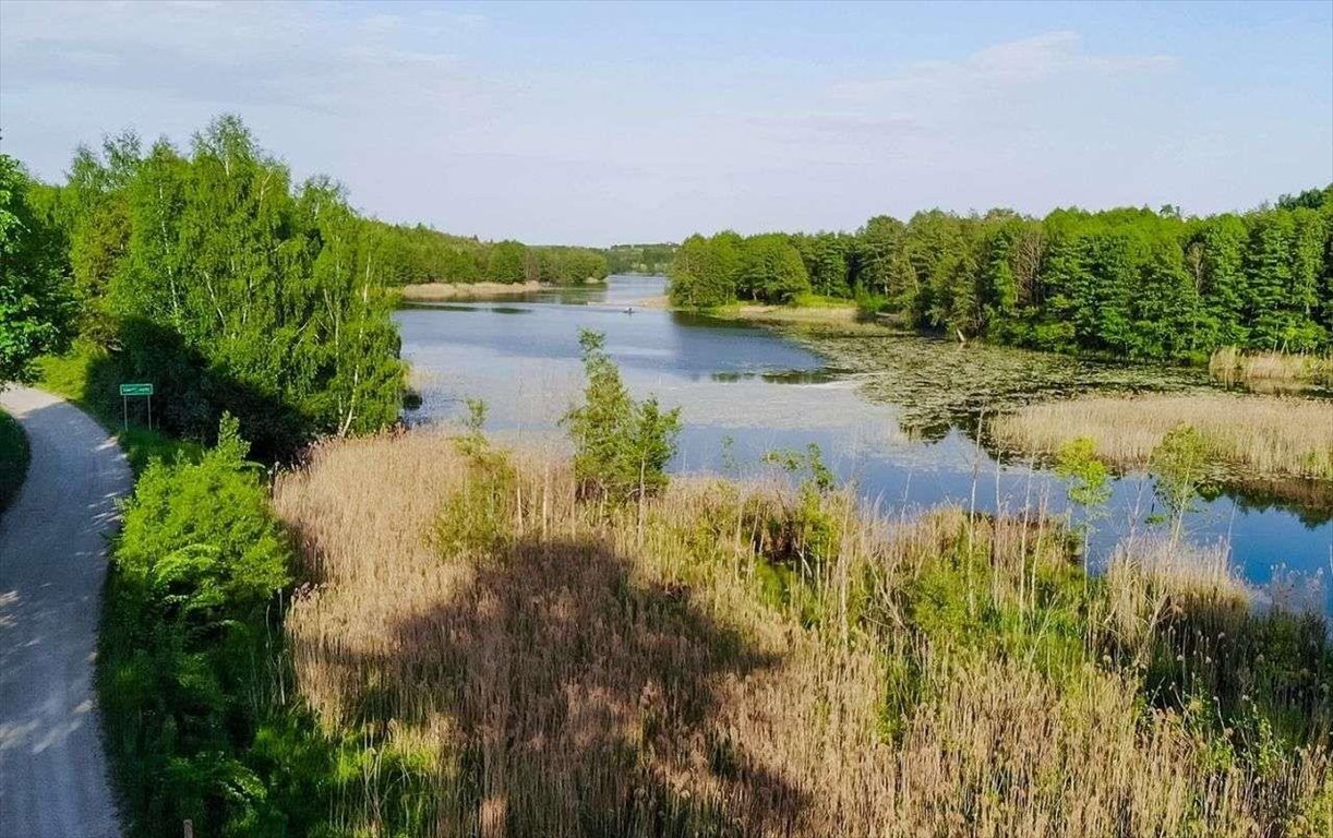 Działka rolna na sprzedaż Lepaki Wielkie  3 354m2 Foto 5