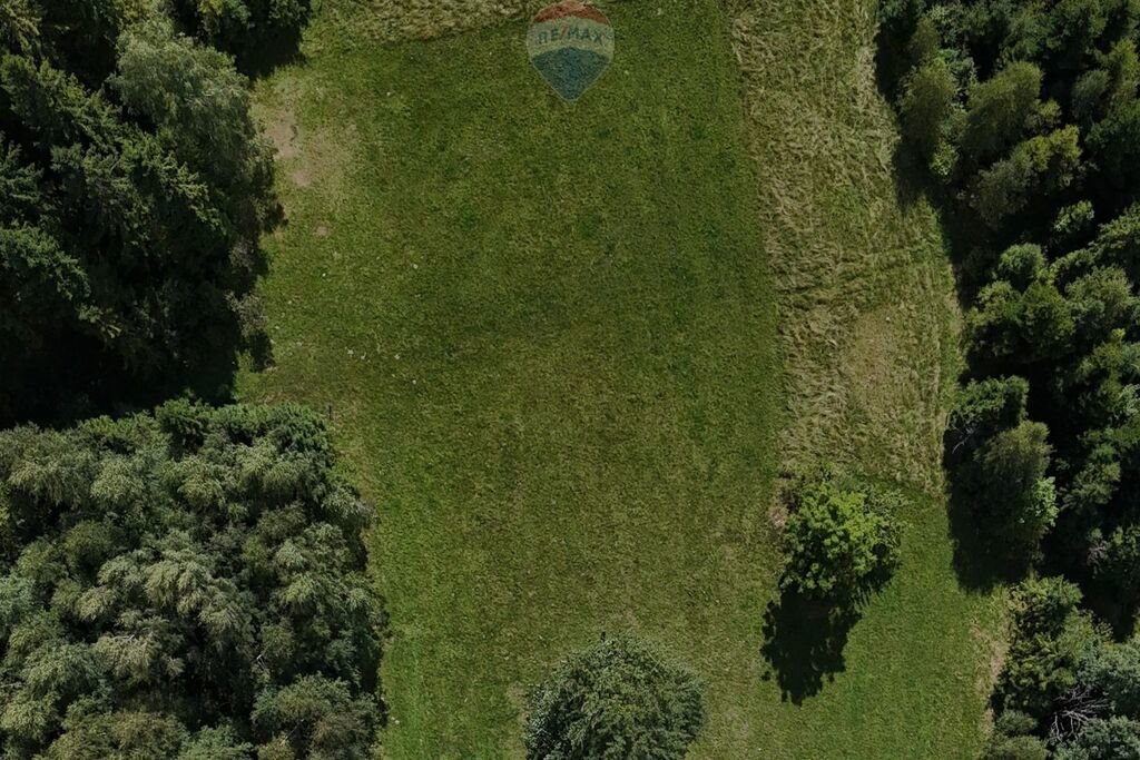 Działka leśna na sprzedaż Obidowa  8 167m2 Foto 1