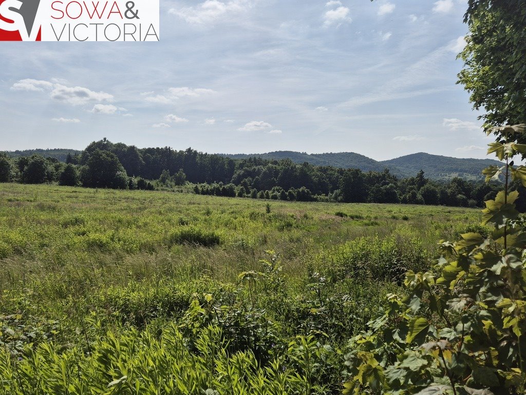 Działka budowlana na sprzedaż Dziećmorowice, Nowy Julianów  1 426m2 Foto 1