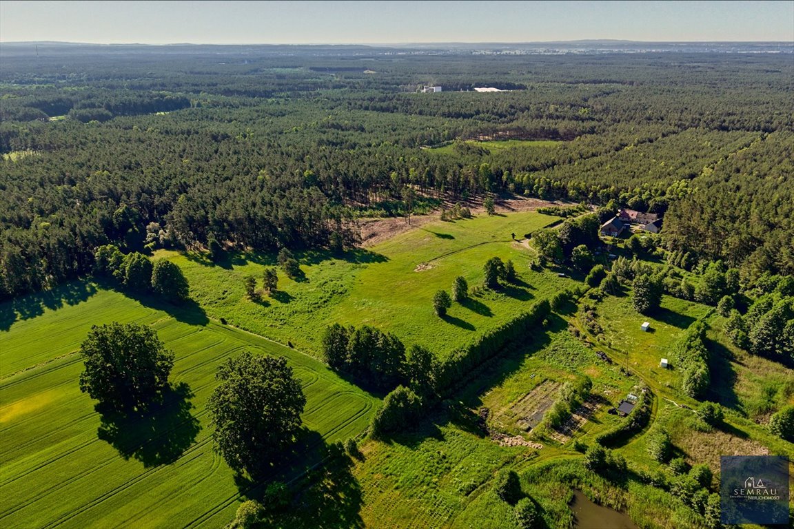 Działka 3493 m² pod zabudowę zagrodową w Piła (Górne) Piła, Górne  3 493m2 Foto 1