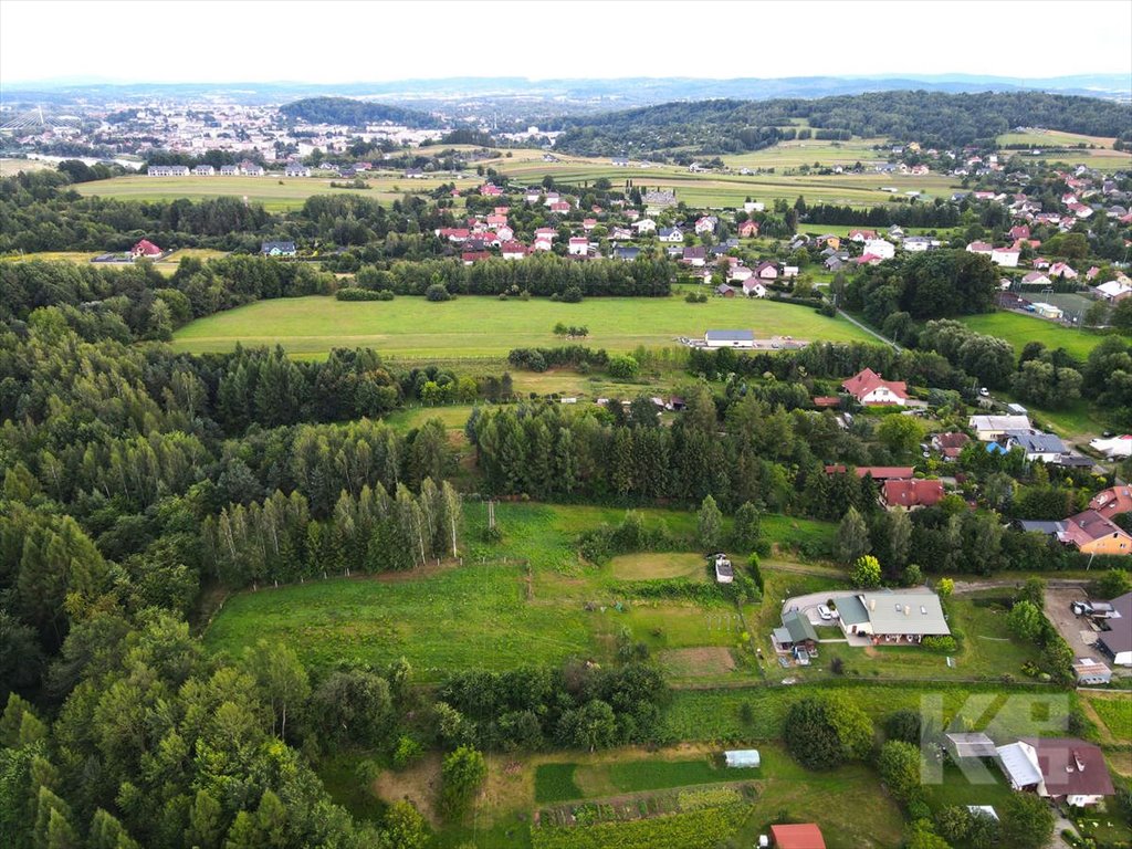 Zdjęcie 6