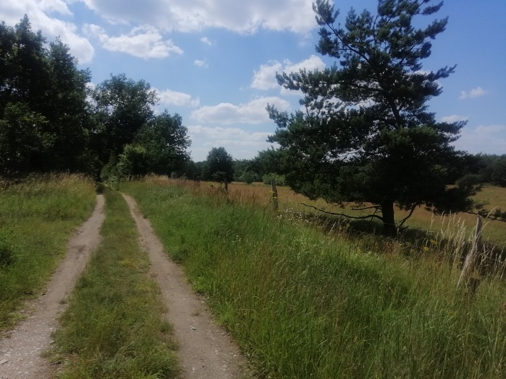 Działka rolna na sprzedaż Dobrzany  148 400m2 Foto 2