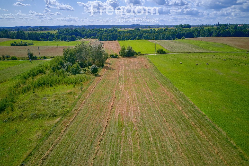 Działka komercyjna na sprzedaż Jora Wielka  7 950m2 Foto 10