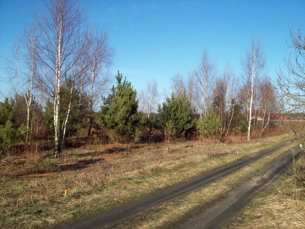 Działka budowlana na sprzedaż Miłoszyce  800m2 Foto 2