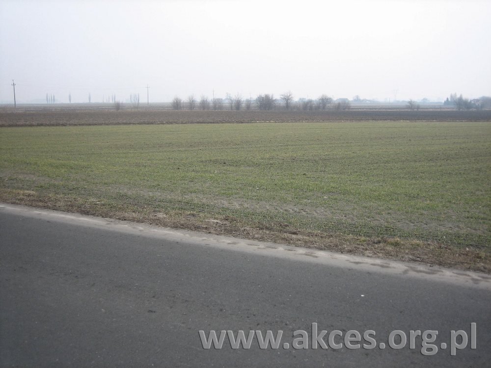 Działka 3 029 m² przy drodze asfaltowej z mediami Grądki  3 029m2 Foto 1