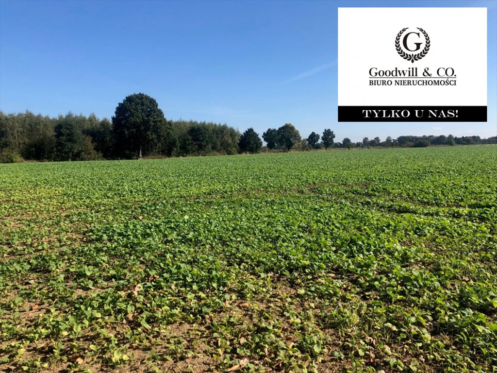 Działka przemysłowo-handlowa na sprzedaż Gdańsk, Świbno, Kempingowa 22 000m2 Foto 1 Działka przemysłowo-handlowa na sprzedaż Gdańsk, Świbno, Kempingowa 22 000m2 Foto 1