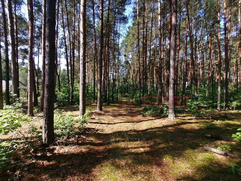 Działka budowlana na sprzedaż Krzyżówka  3 400m2 Foto 2