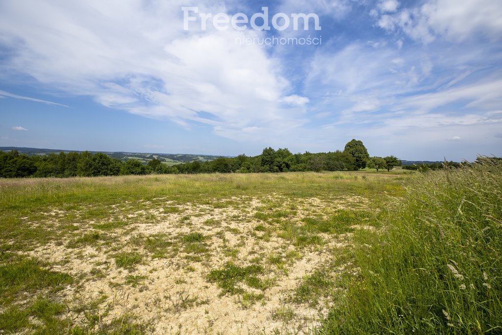 Działka budowlana na sprzedaż Wielopole Skrzyńskie  12 400m2 Foto 5