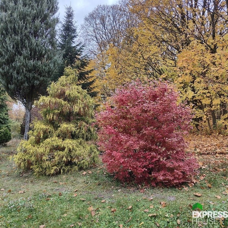 Dom na sprzedaż Górki Małe  460m2 Foto 12