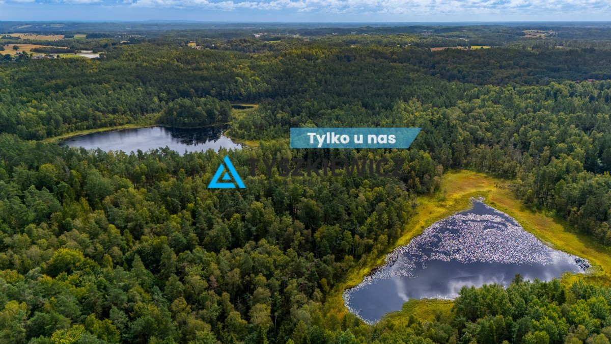 Działka inwestycyjna 1232 m² z potencjałem i spokojem natury Bawernica  1 232m2 Foto 1