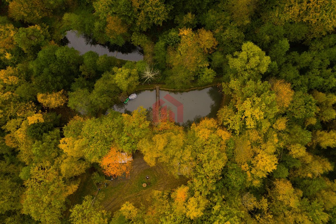 Działka leśna na sprzedaż Bonarówka  123 100m2 Foto 1