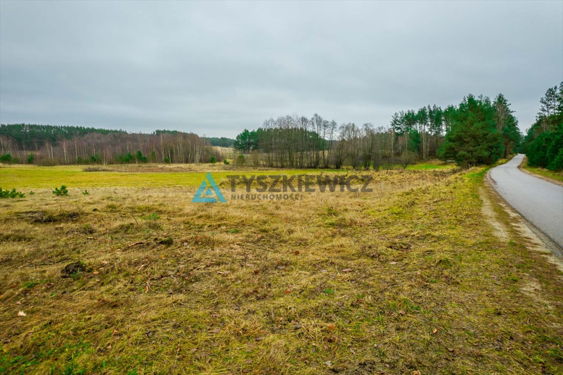 Działka budowlana na sprzedaż Łubiana, Leśna  1 000m2 Foto 10