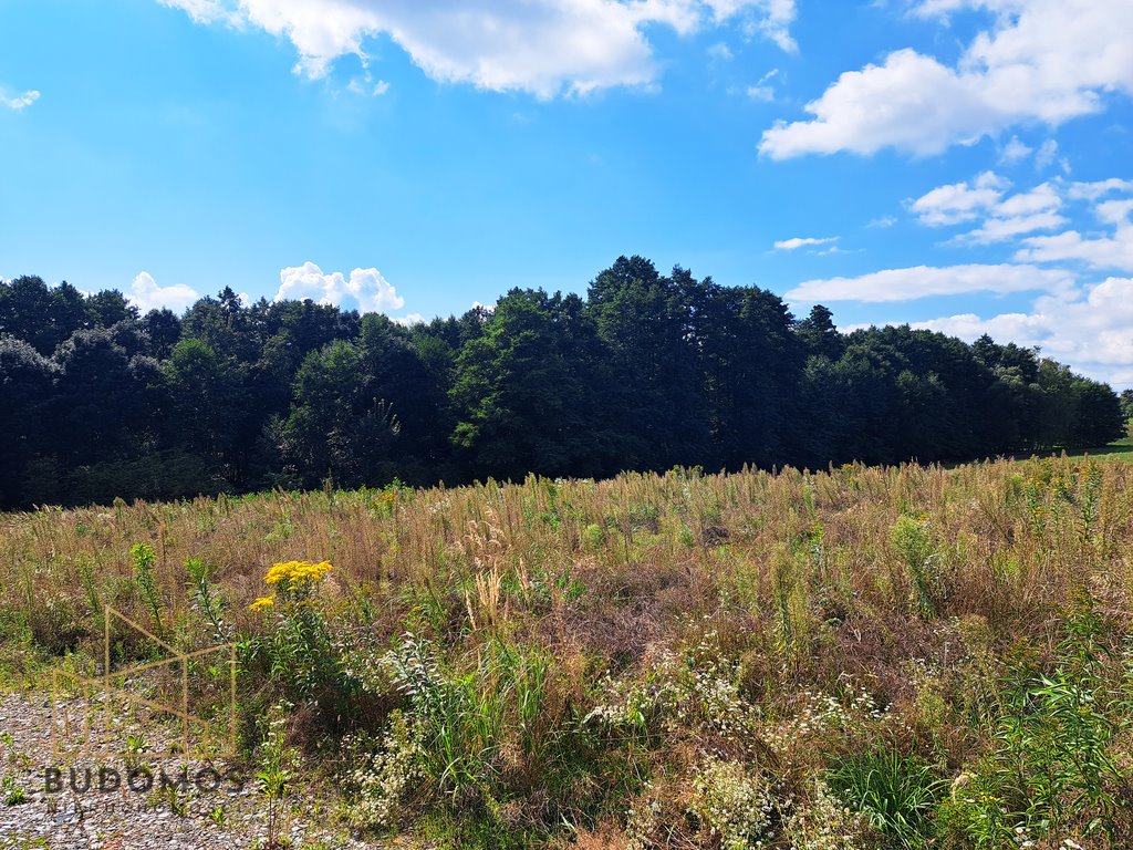 Działka budowlana na sprzedaż Wojnicz  2 400m2 Foto 1