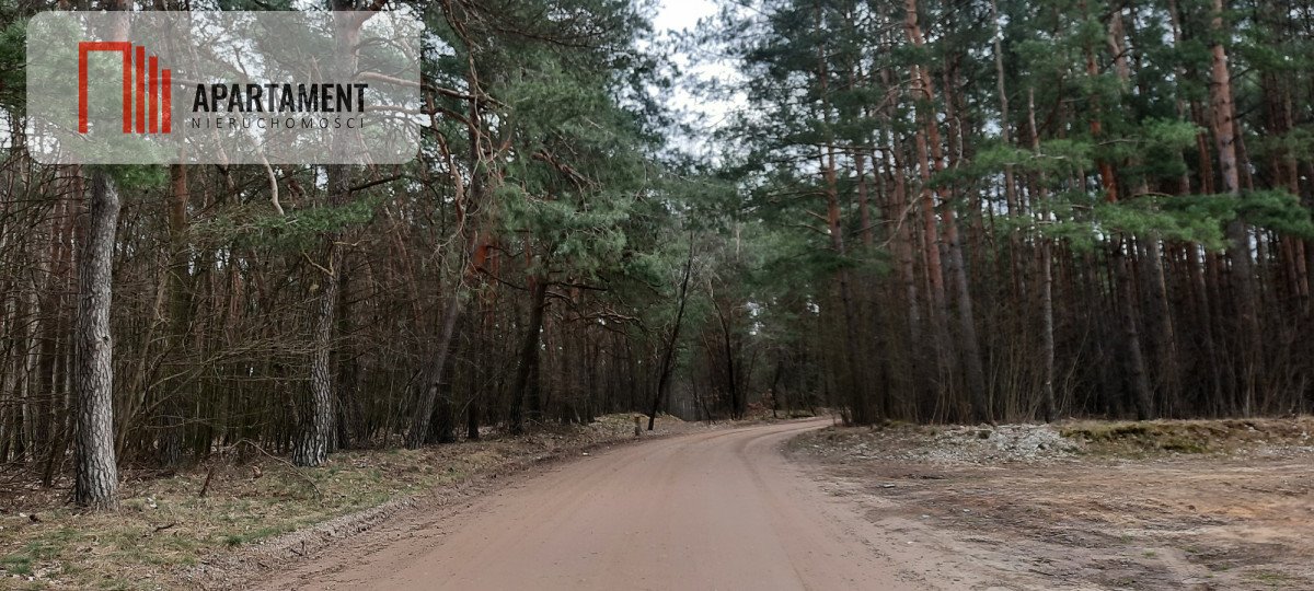 Działka budowlana na sprzedaż Dąbrówka Nowa  2 120m2 Foto 7