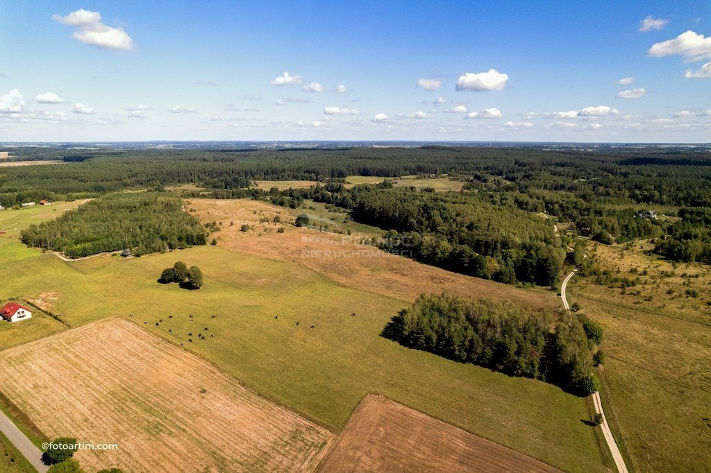 Działka rolna na sprzedaż Elganowo  123 500m2 Foto 7