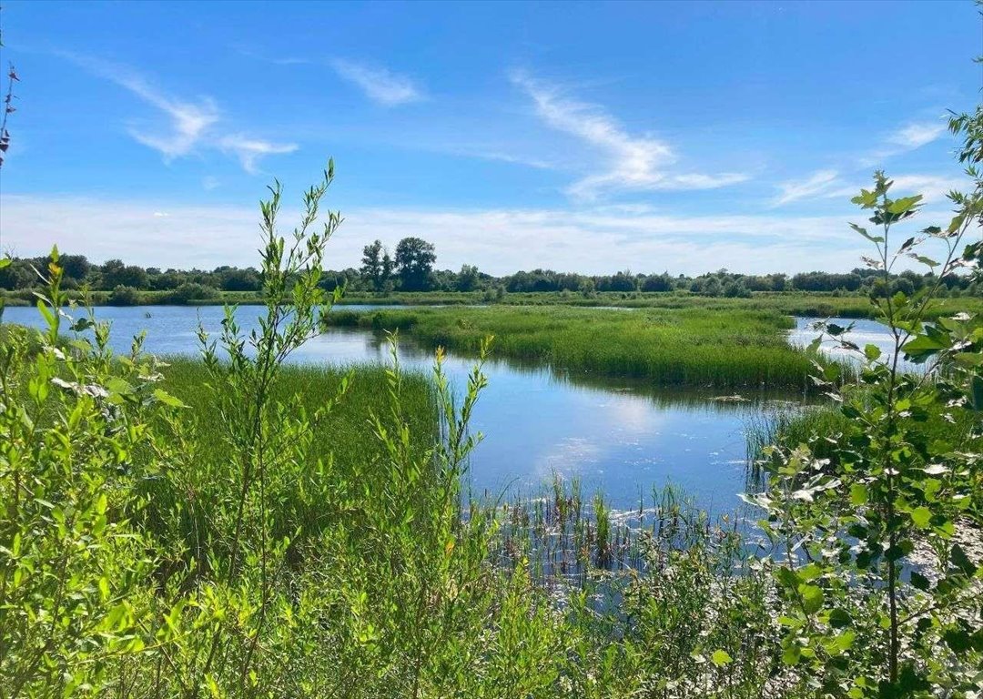 Działka rekreacyjna na sprzedaż Sośnica-Brzeg  511m2 Foto 4