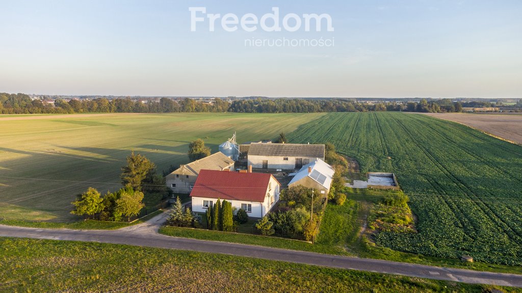 Działka budowlana na sprzedaż Kaliszany  16 000m2 Foto 8