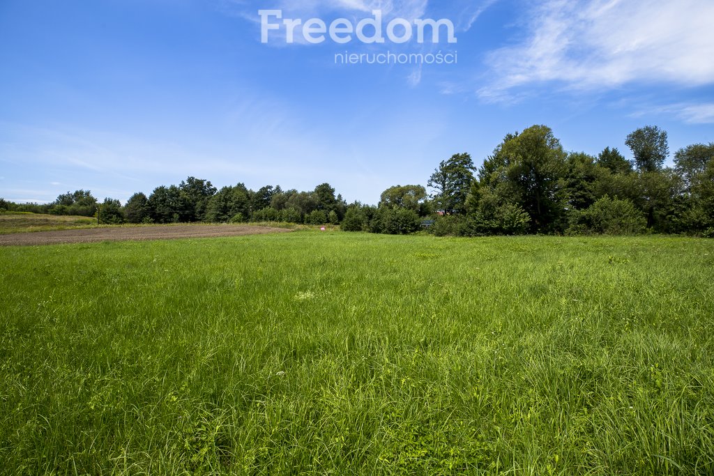 Działka rolna na sprzedaż Cieszyna  9 593m2 Foto 3