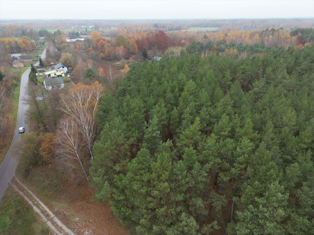 Działka budowlana na sprzedaż Strugi Krzywickie  26 000m2 Foto 5