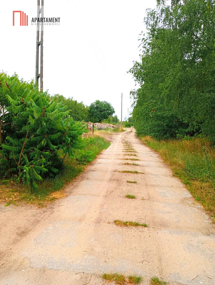 Działka przemysłowo-handlowa na sprzedaż Gorzeń  10 000m2 Foto 5