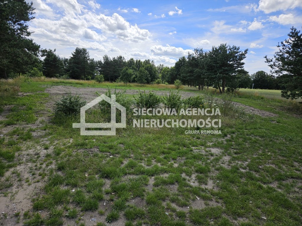 Działka przemysłowo-handlowa na sprzedaż Dzierżążno  9 200m2 Foto 11