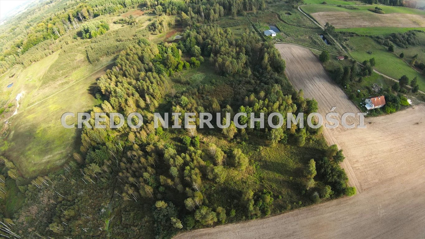 Działka rolna na sprzedaż Derc  3 200m2 Foto 7