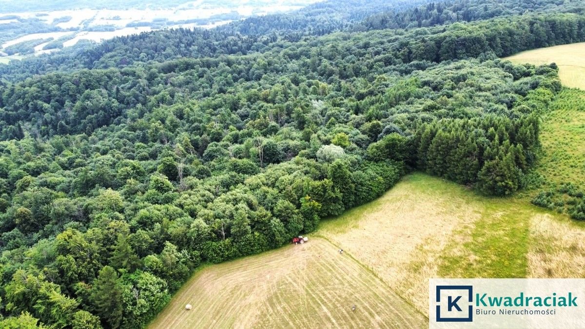 Działka leśna na sprzedaż Stary Żmigród  96 100m2 Foto 10