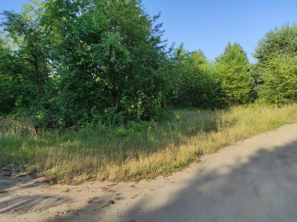 Działka inna na sprzedaż Cieksyn  2 000m2 Foto 1