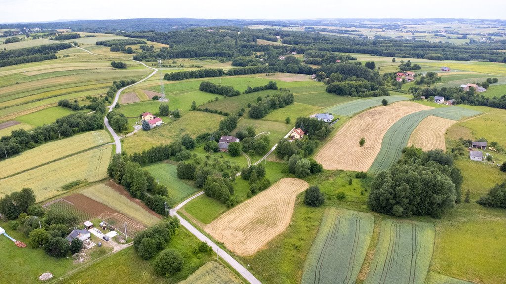 Działka budowlana na sprzedaż Niechobrz  18 300m2 Foto 16