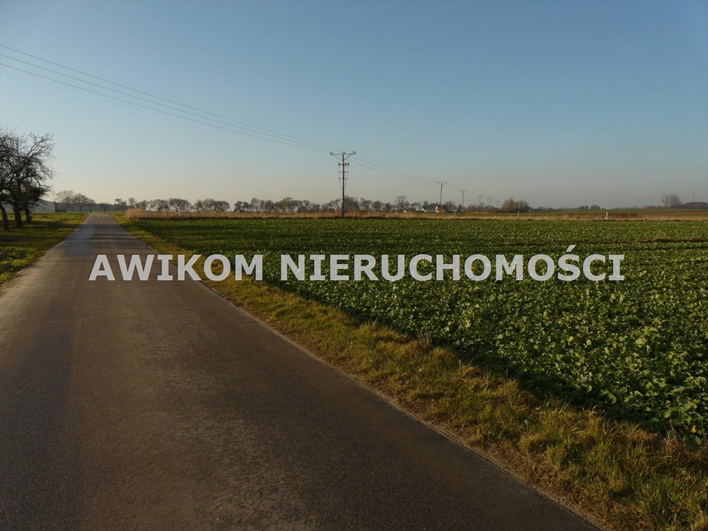 Działka rolna na sprzedaż Nowy Kawęczyn, Nowy Dwór-Parcela  10 900m2 Foto 4